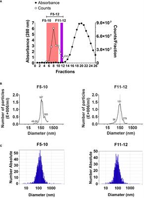 Extracellular vesicles from pristane-treated CD38-deficient mice express an anti-inflammatory neutrophil protein signature, which reflects the mild lupus severity elicited in these mice